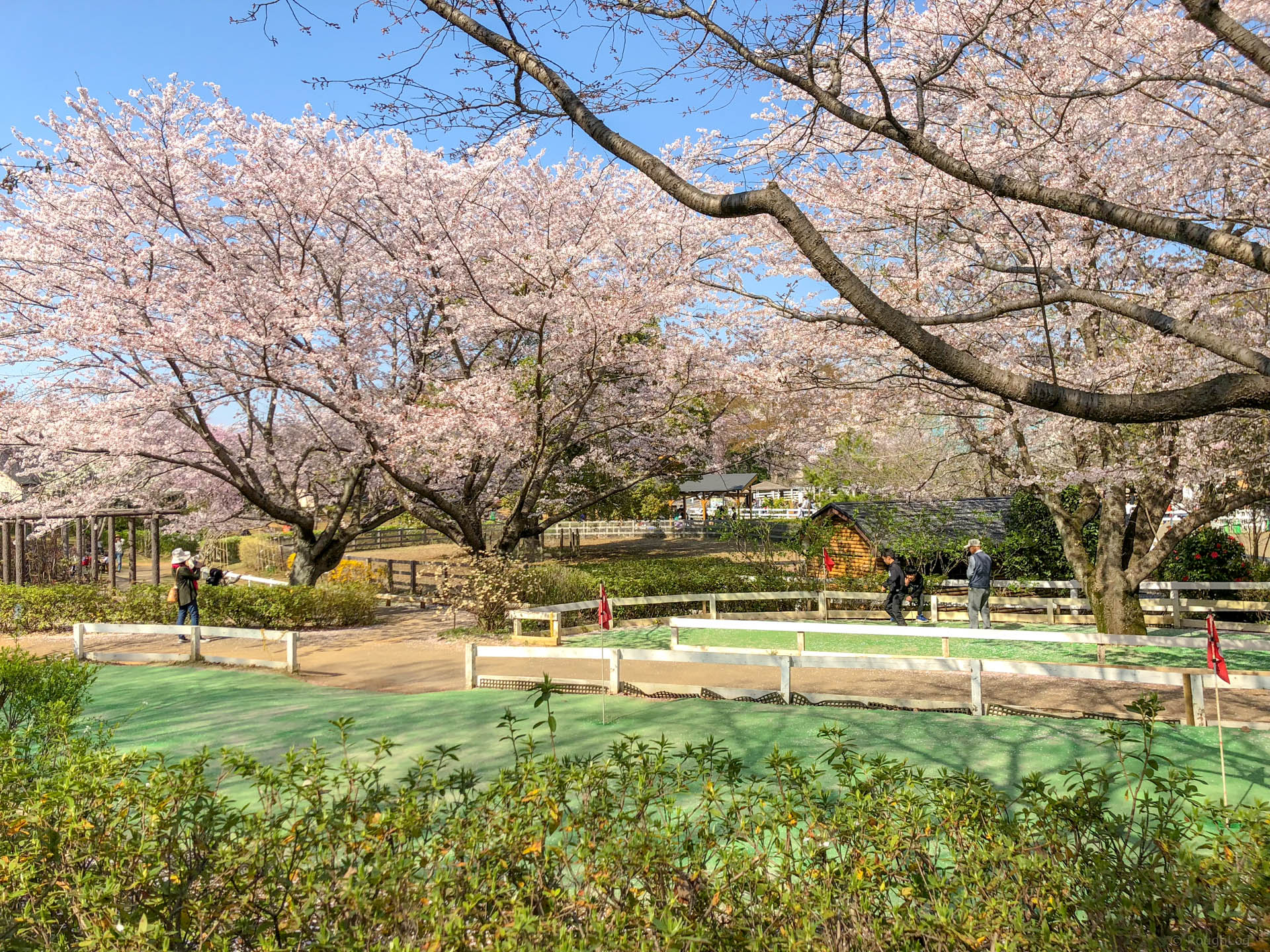 千葉県船橋市の「ふなばしアンデルセン公園」でパターゴルフ