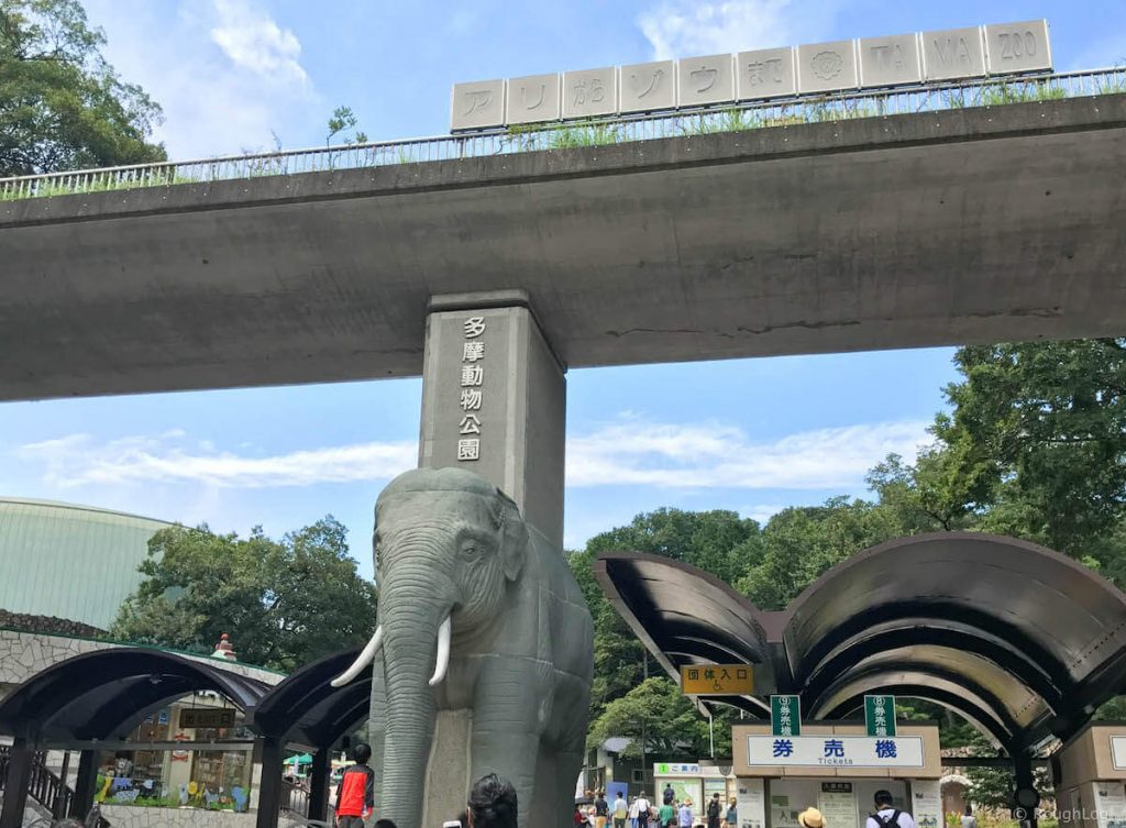 多摩動物公園の入園料が無料になる日っていつ 混雑状況は 入園料金 年間パスポート 無料開放日をまとめました