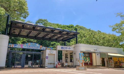 千葉市動物公園の入園料金が無料の日はいつ?混雑状況は?