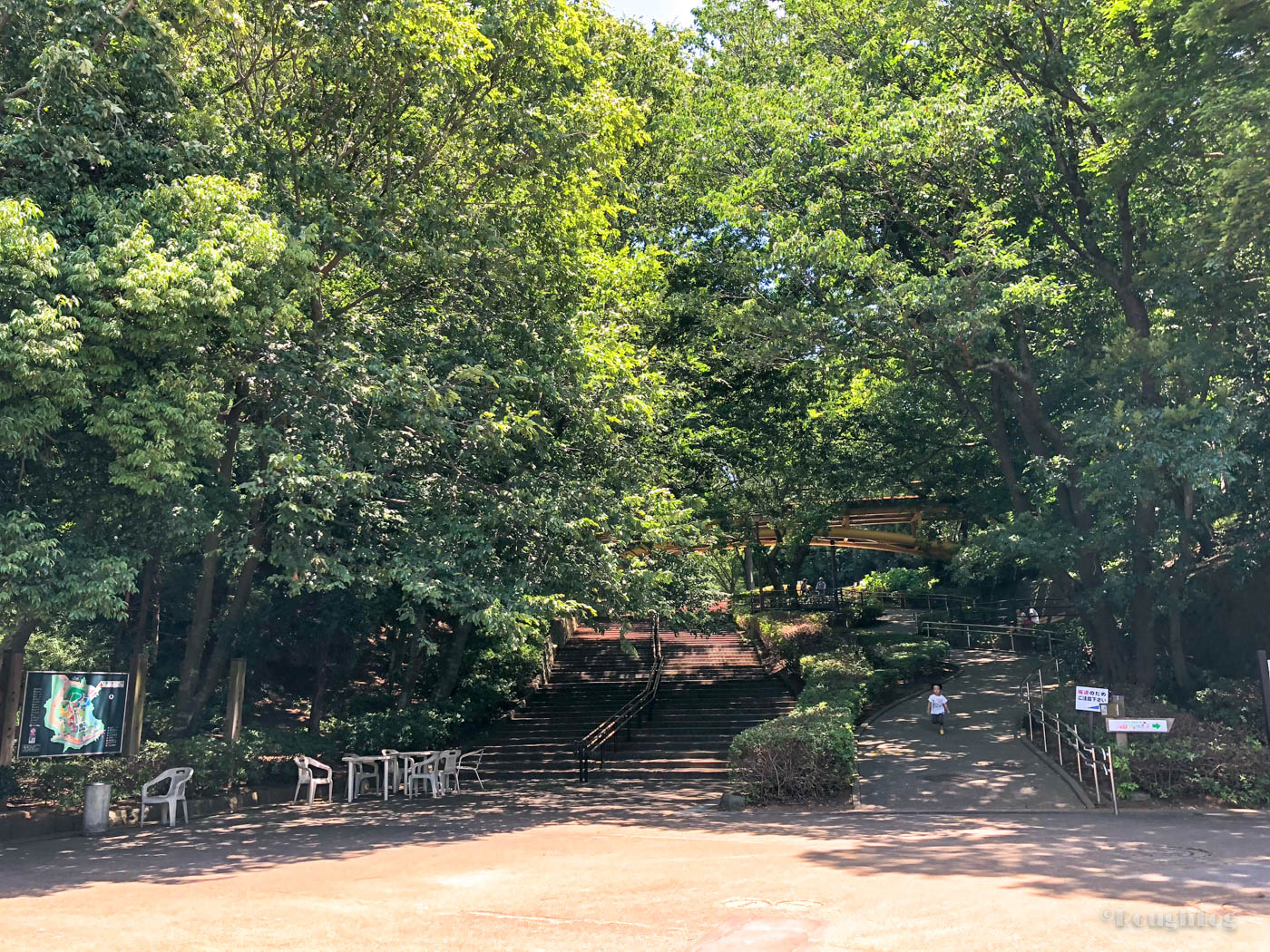 千葉市動物公園の西口ゲートより入園すると木々が並ぶ坂道