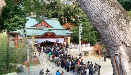 熱海旅行で日本屈指のパワースポット「来宮神社」へ。樹齢2千年の大楠に圧倒される